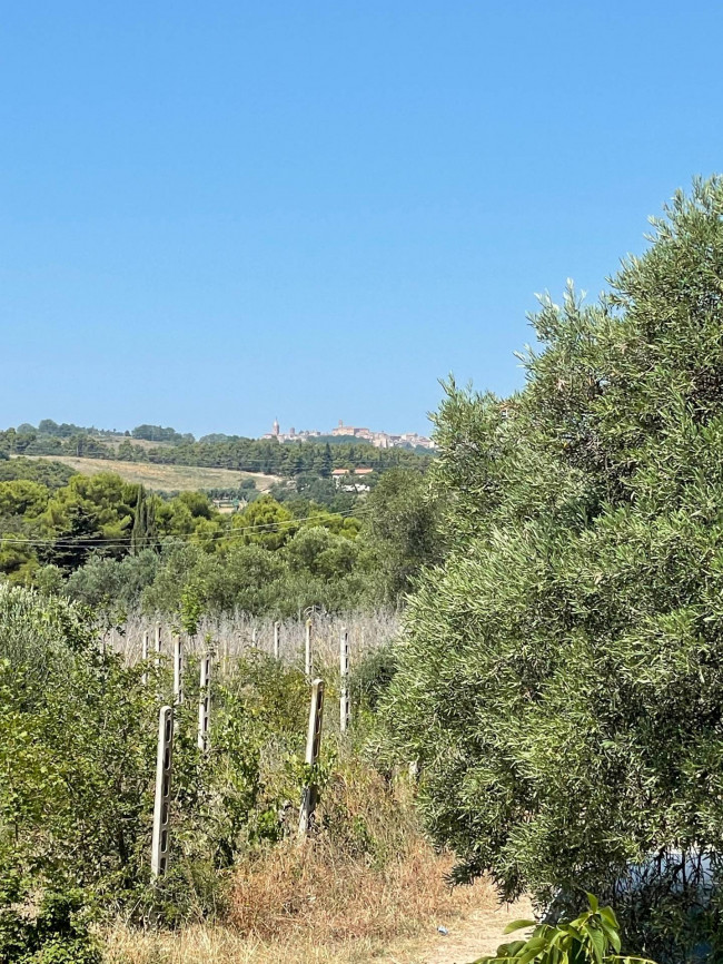 Rustici e Casali in vendita a Ripatransone