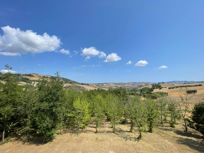 Rustici e Casali in vendita a Castignano
