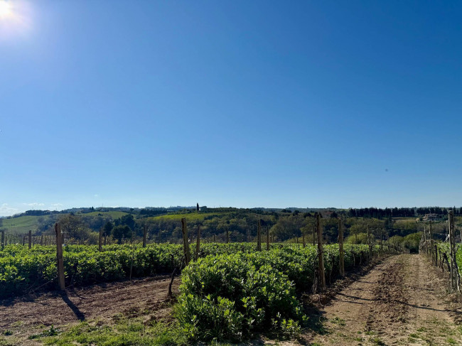 Rustici e Casali in vendita a Ripatransone