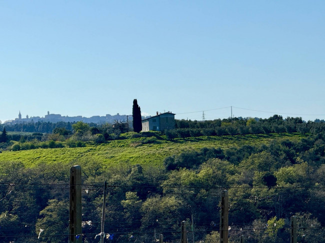 Rustici e Casali in vendita a Ripatransone