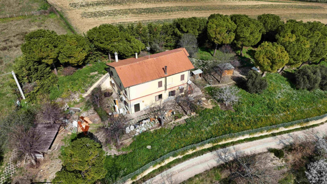 Rustici e Casali in vendita a Ripatransone