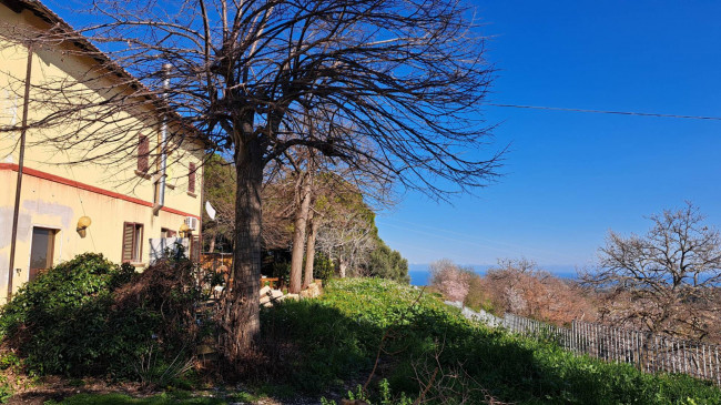 Rustici e Casali in vendita a Ripatransone