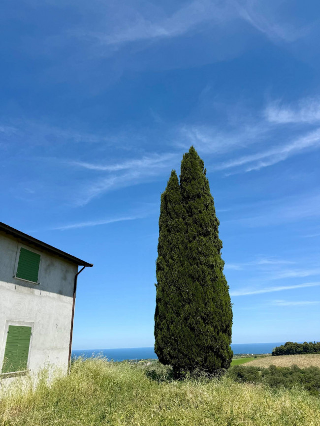 Rustici e Casali in vendita a Ripatransone
