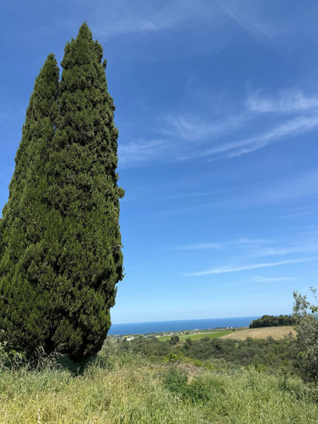 Rustici e Casali in vendita a Ripatransone