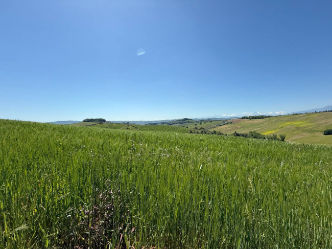 Rustici e Casali in vendita a Monteprandone