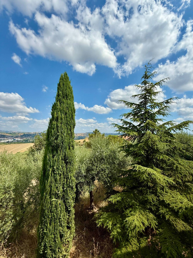 Rustici e Casali in vendita a Ancarano