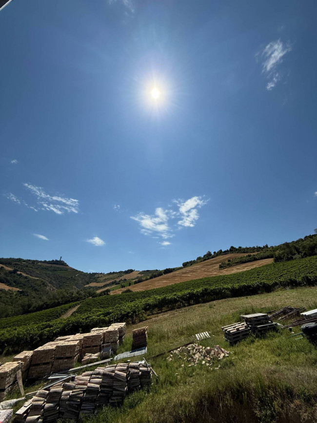 Rustici e Casali in vendita a Ripatransone
