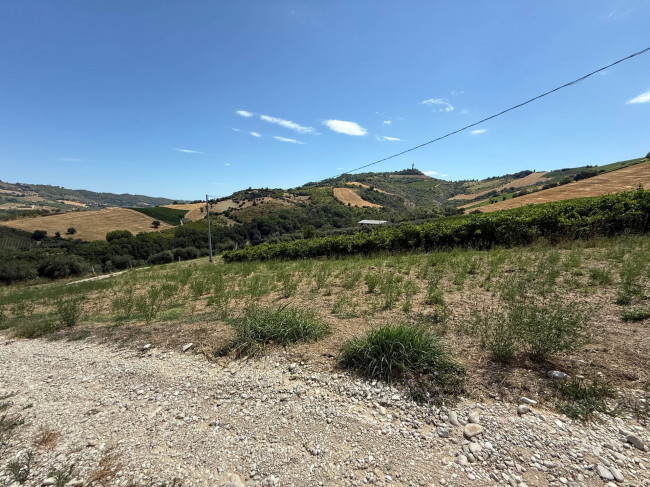 Rustici e Casali in vendita a Ripatransone
