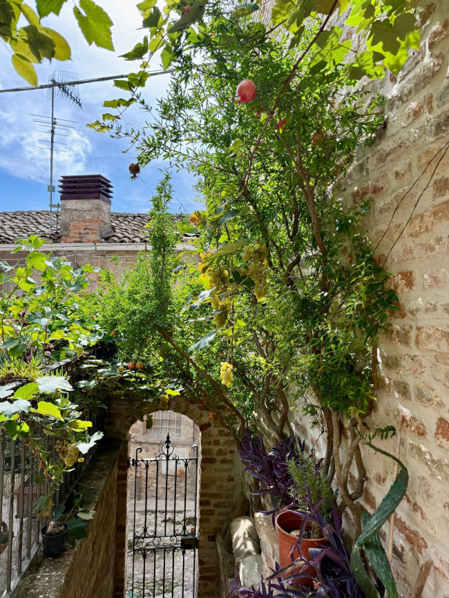 Appartamento in vendita a Ripatransone