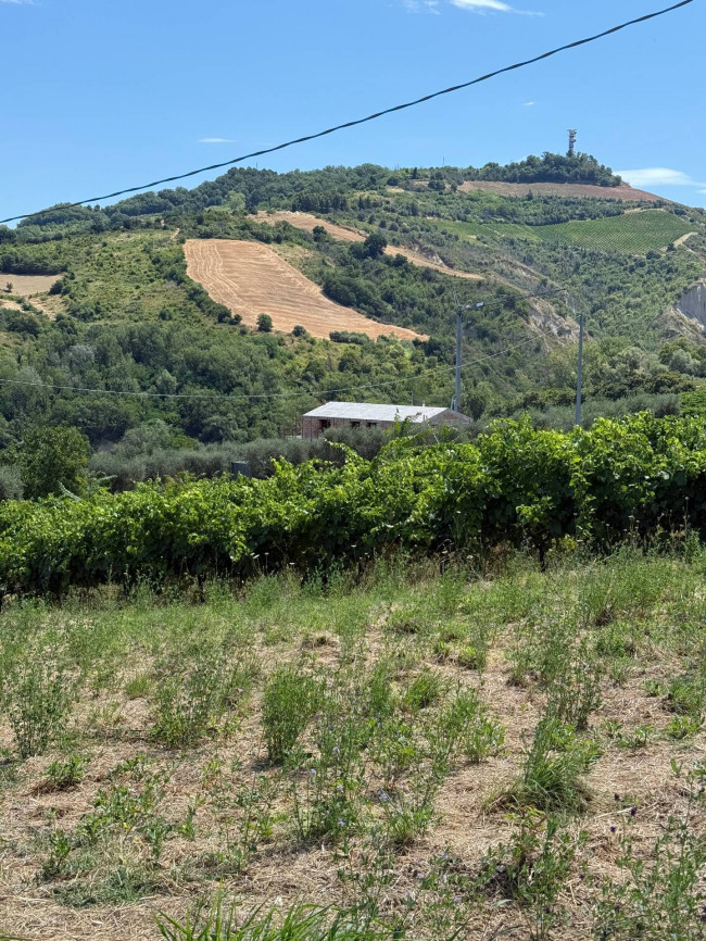 Rustici e Casali in vendita a Ripatransone