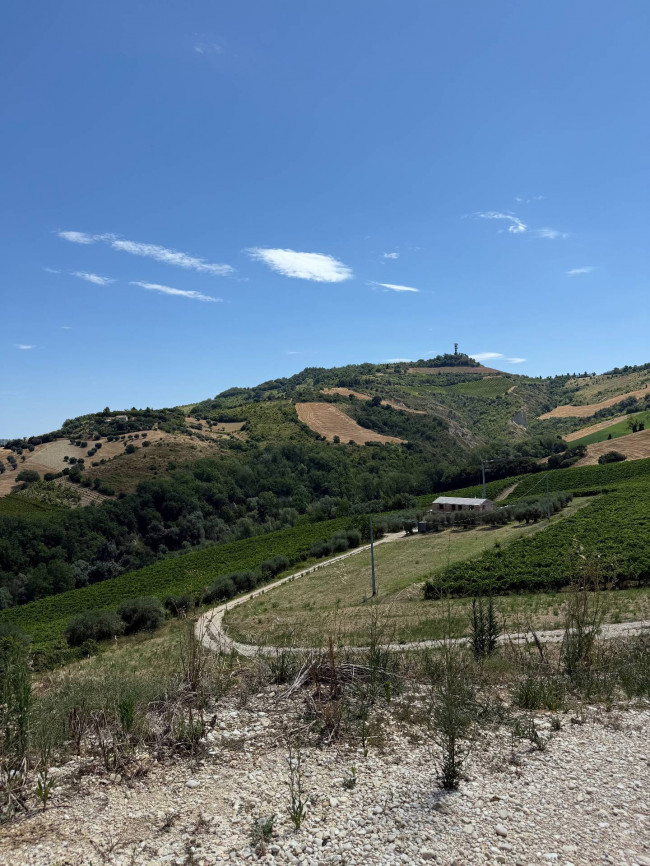 Rustici e Casali in vendita a Ripatransone