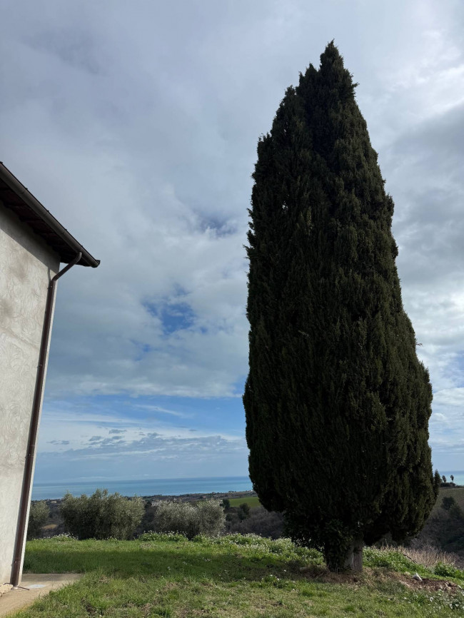 Rustici e Casali in vendita a Ripatransone