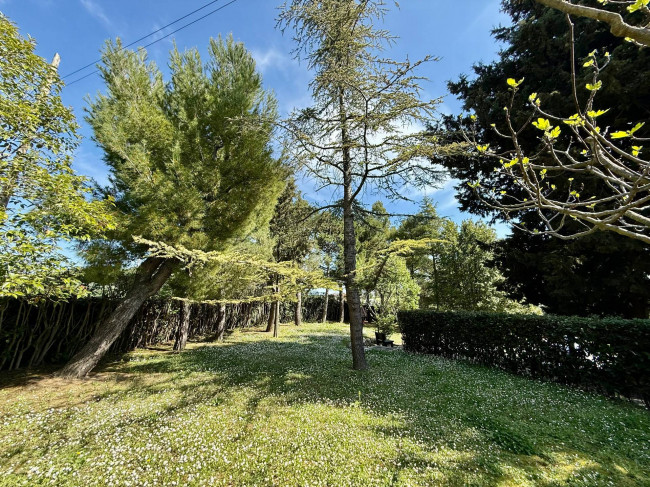 Rustici e Casali in vendita a Offida
