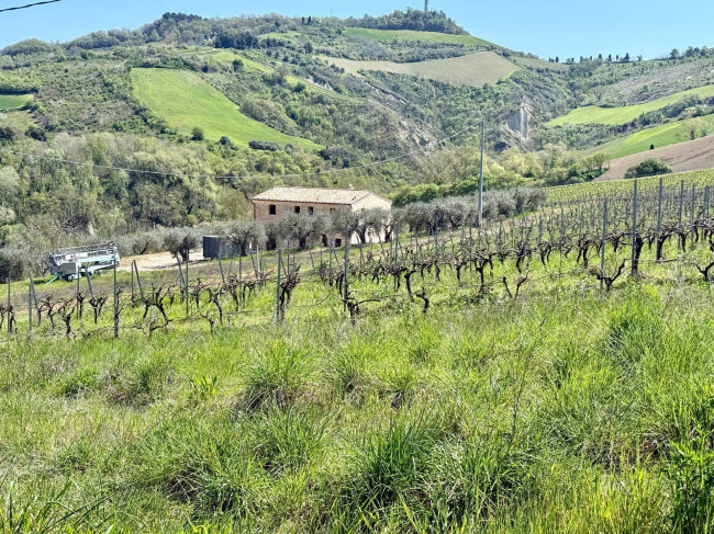 Rustici e Casali in vendita a Ripatransone