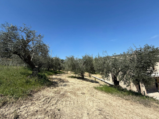 Rustici e Casali in vendita a Ripatransone