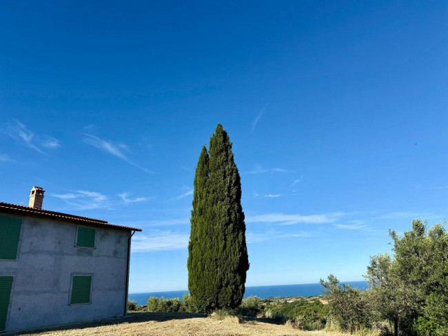 Rustici e Casali in vendita a Ripatransone