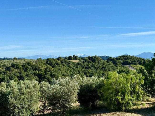 Rustici e Casali in vendita a Ripatransone