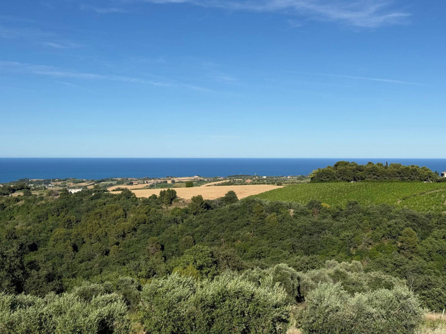 Rustici e Casali in vendita a Ripatransone