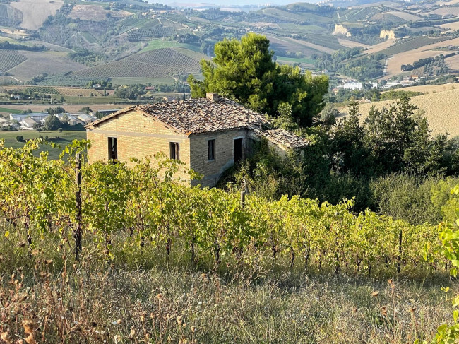 Rustici e Casali in vendita a Offida