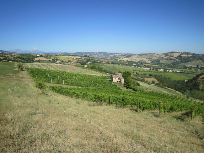 Rustici e Casali in vendita a Offida