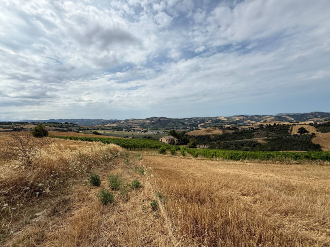Rustici e Casali in vendita a Offida