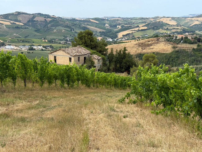 Rustici e Casali in vendita a Offida