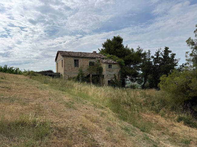Rustici e Casali in vendita a Offida
