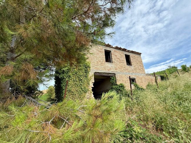 Rustici e Casali in vendita a Offida