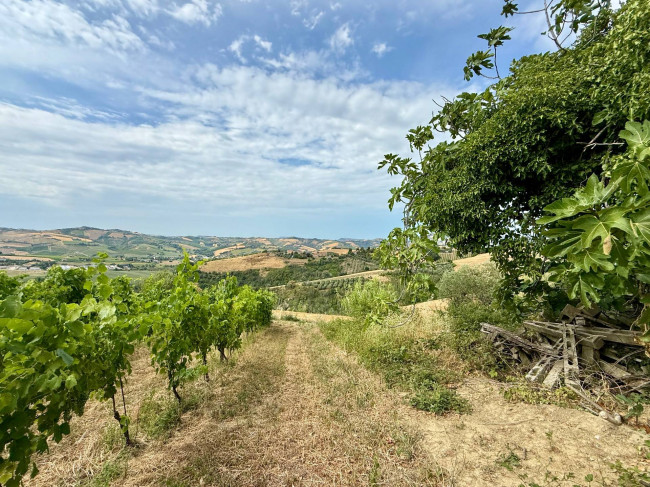 Rustici e Casali in vendita a Offida