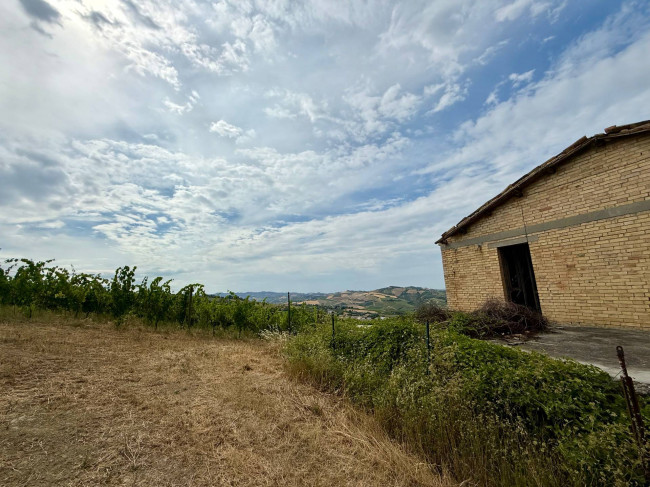 Rustici e Casali in vendita a Offida
