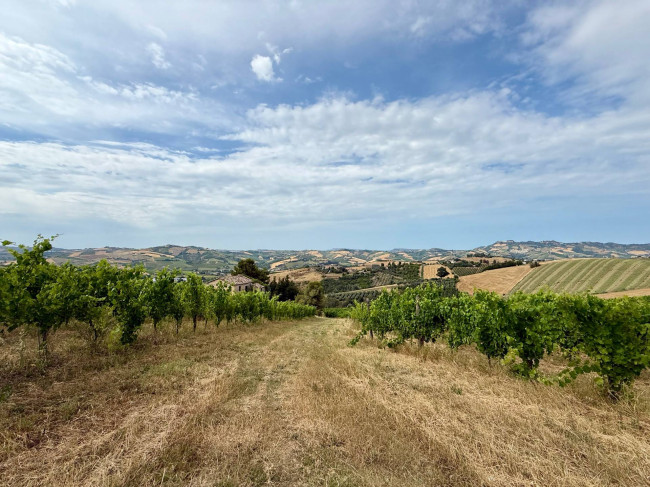 Rustici e Casali in vendita a Offida