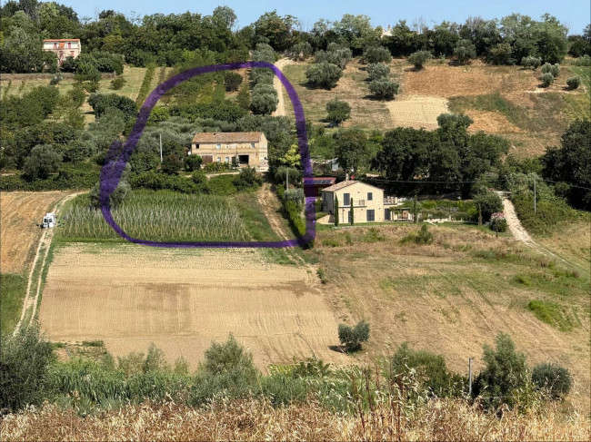 Rustici e Casali in vendita a Altidona