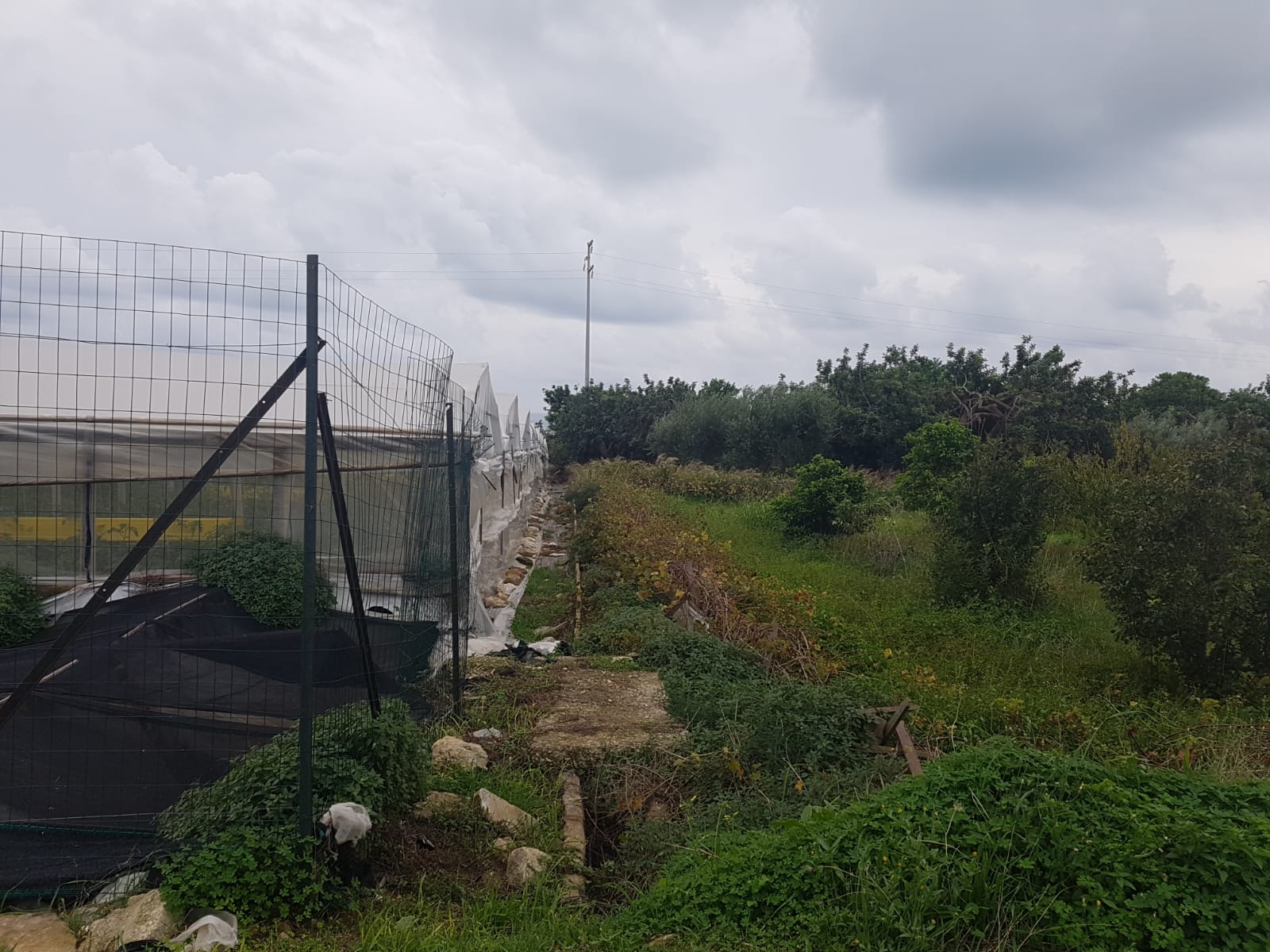 Terreno RAGUSA vendita    TUTTO CASA REAL ESTATE DI ARRABITO GUGLIELMO