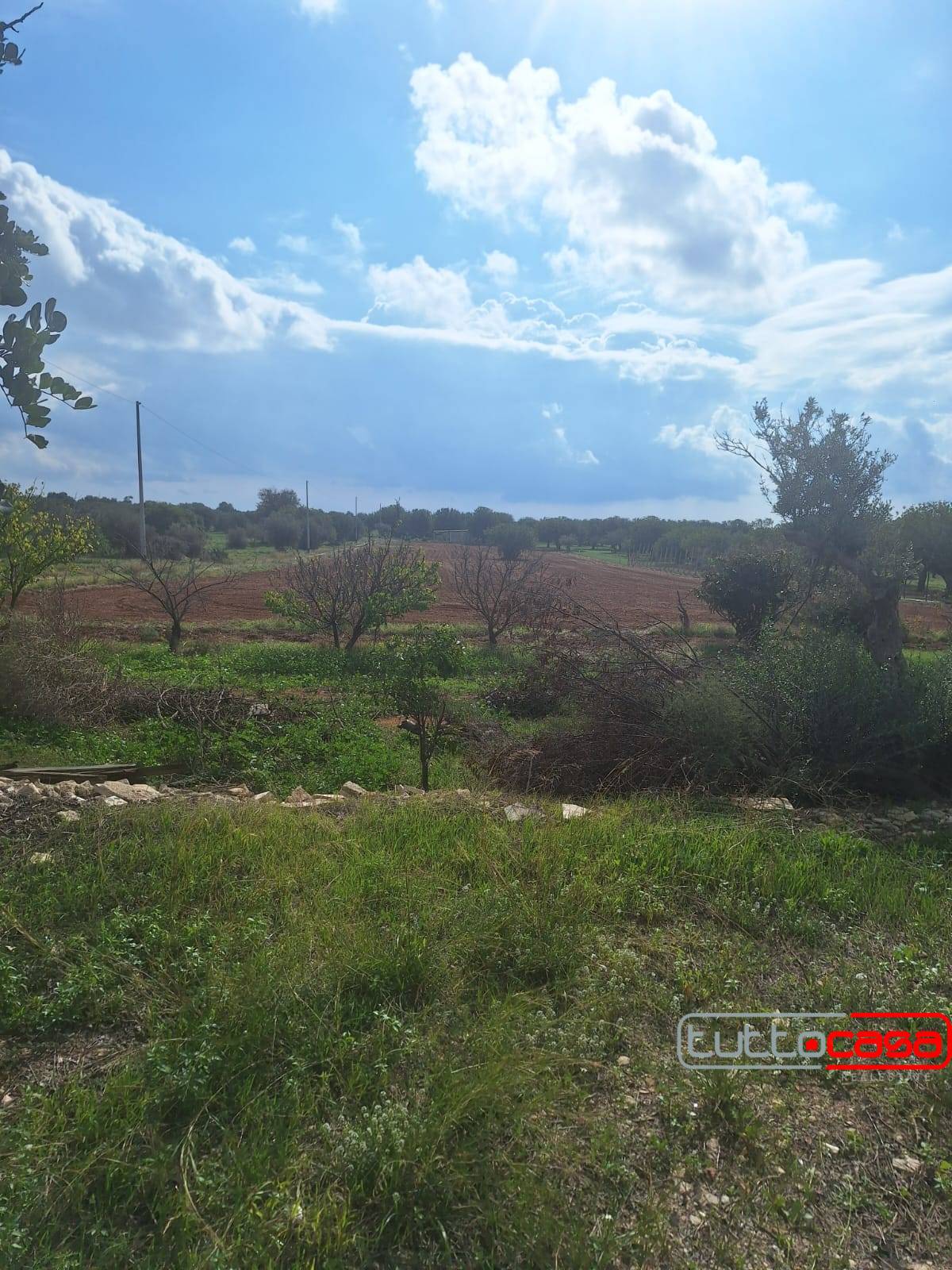 Terreno agricolo in vendita a Scicli (RG)