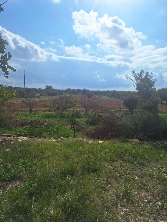 Terreno Agricolo in Vendita a Scicli