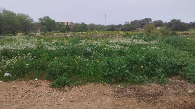 Terreno edificabile in Vendita a Scicli