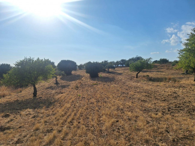 Terreno Agricolo in Vendita a Scicli