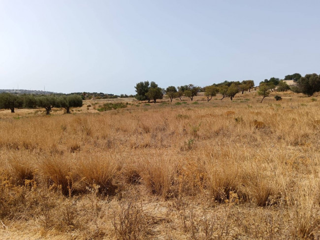 Terreno Agricolo in Vendita a Scicli