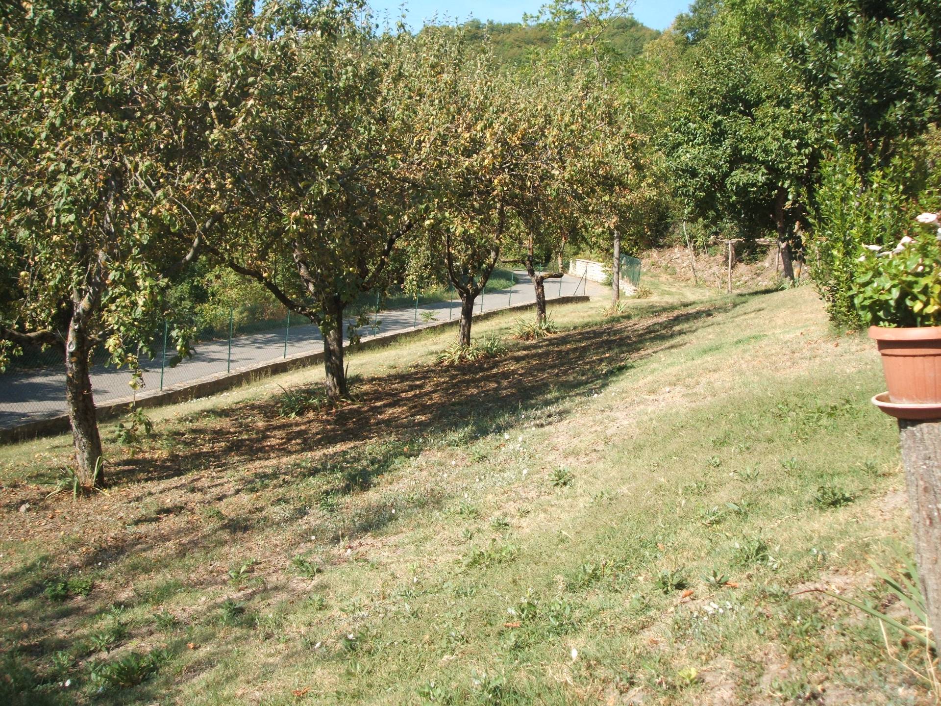 Appartamento in affitto a Colli Verdi (PV)