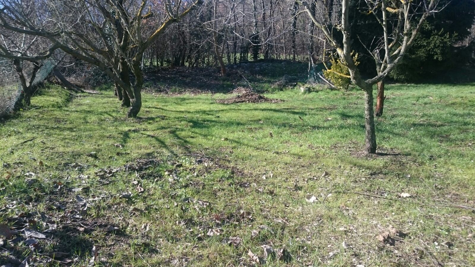 Rustico in vendita a Cecima (PV)