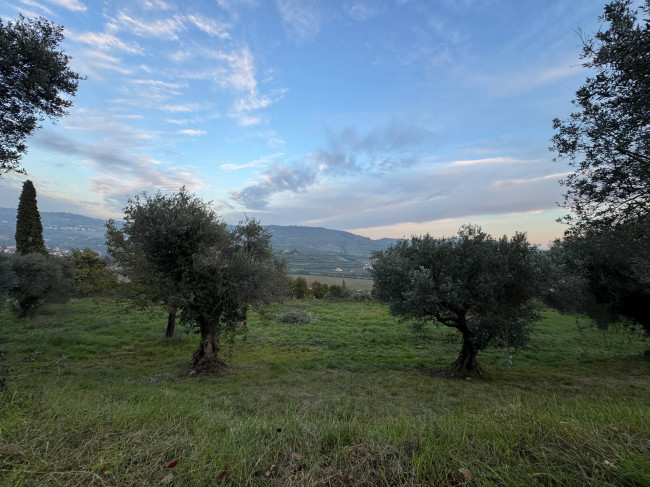 Villa in vendita a Verona (VR)