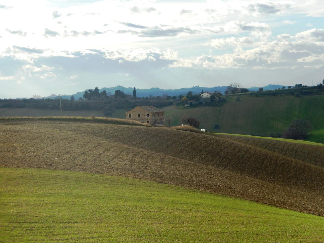 Attico MONTEPRANDONE vendita    Riviera Costruzioni S.r.l.