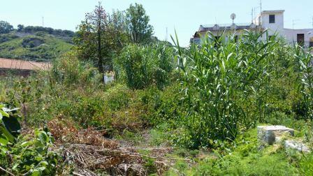 Villa Unifamiliare - Indipendente ROMETTA vendita    casaitalia