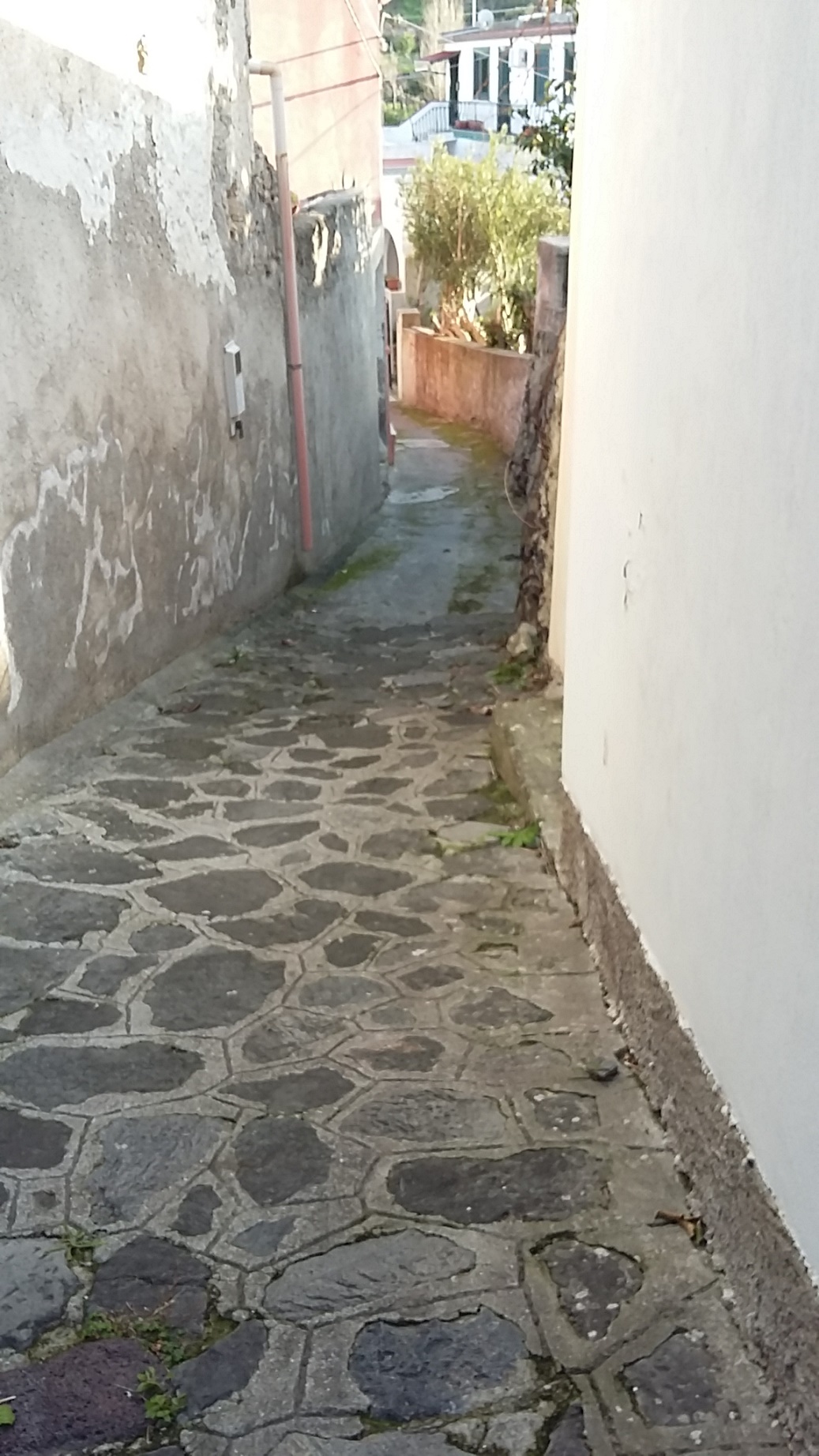 Villa Unifamiliare - Indipendente LIPARI affitto  Canneto  casaitalia