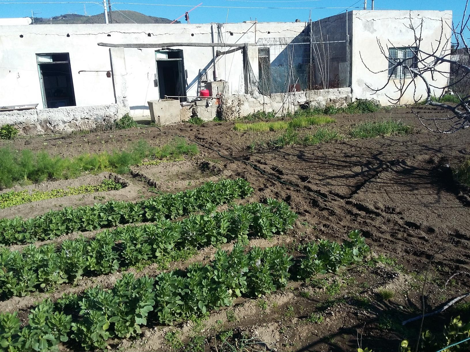 Villa Unifamiliare - Indipendente LIPARI vendita  Pianoconte  casaitalia