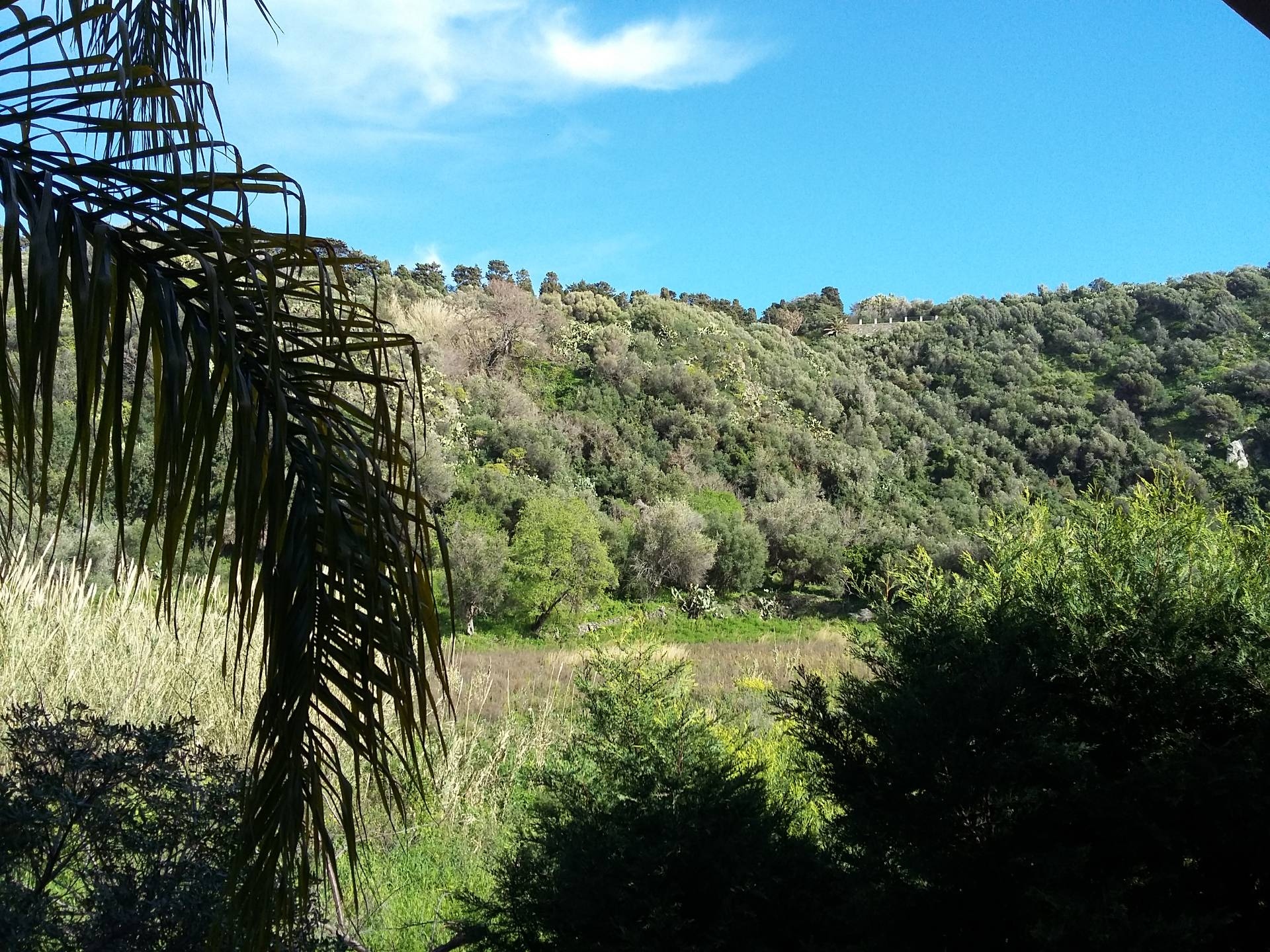  milazzo affitto quart: angonia casaitalia