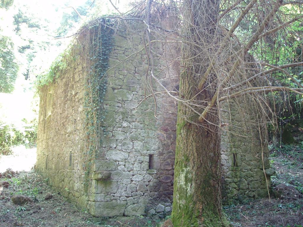 Rustico - Cascina ROCCASTRADA vendita  Sassofortino  ASIP sas di Maurizio Bolognini e C.