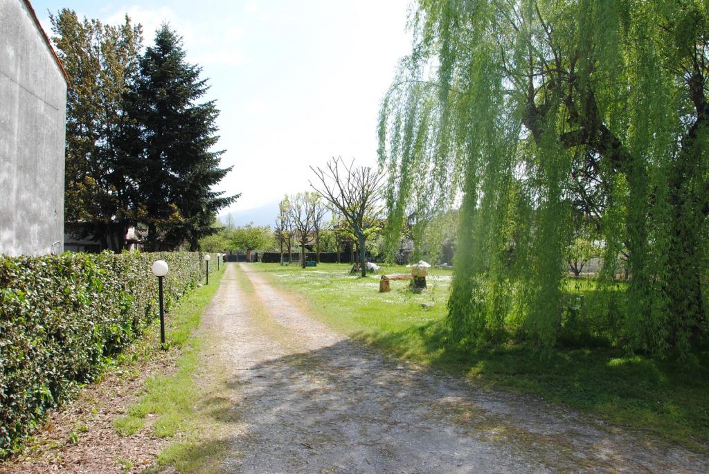 Rustico - Cascina CAPANNORI vendita    ASIP sas di Maurizio Bolognini e C.