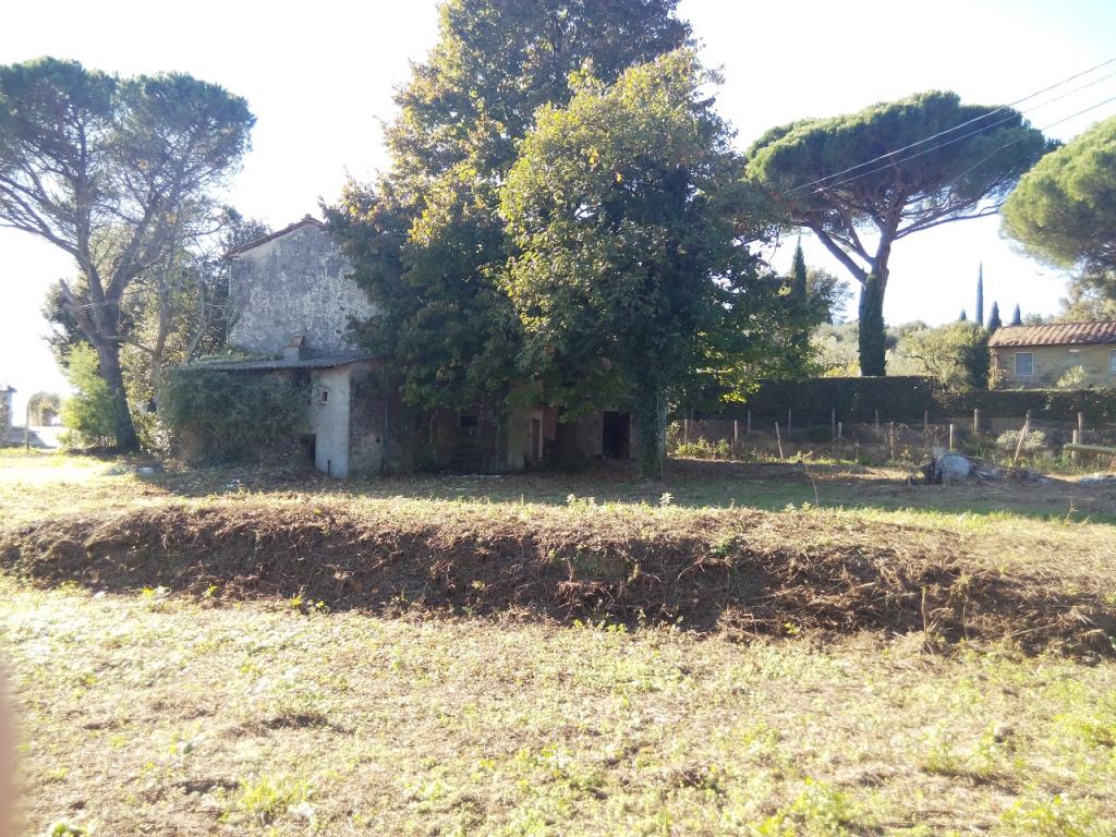 Rustico - Cascina MASSAROSA vendita  Bargecchia  ASIP sas di Maurizio Bolognini e C.