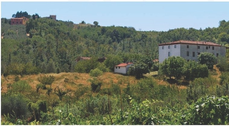 Rustico - Cascina LUCCA vendita  San Quirico di Moriano  ASIP sas di Maurizio Bolognini e C.